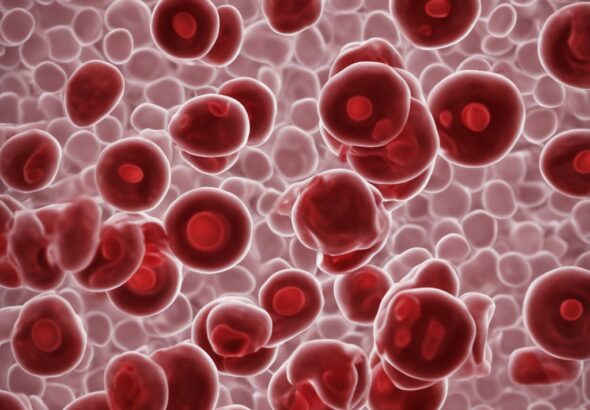 Platelets in blood